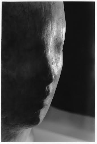 De visu – Medardo Rosso / Angelo Garoglio